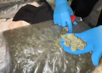 Arnavutköy ve Zeytinburnu'nda operasyon: 198 kilogram uyuşturucu ele geçirildi; 5 gözaltı