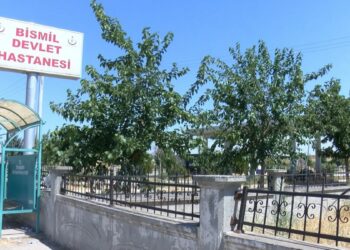 Evde bulup, oynadıkları silah kazara ateş alınca ikizlerden Emre öldü