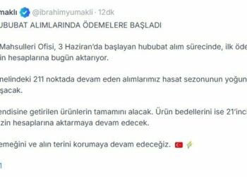 Bakan Yumaklı: TMO hububat alımlarında ödemelere başladı
