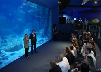 İstanbul Akvaryum 15’inci yılında 15 milyon ziyaretçiye ulaştı