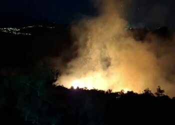 Hatay'da orman yangını, büyümeden söndürüldü