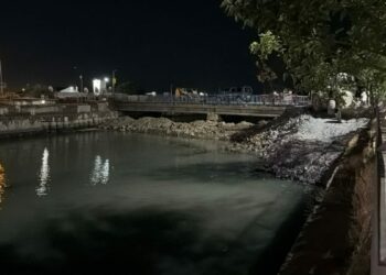 Bakırköy Çırpıcı Deresi’nde toplu balık ölümü