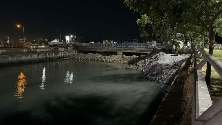 Bakırköy Çırpıcı Deresi’nde toplu balık ölümü