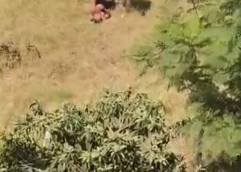 Sulama kanalına giren oğlunu kemerle dövdü