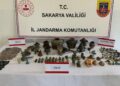 Sakarya'da tarihi eser operasyonu; 1 gözaltı