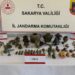 Sakarya'da tarihi eser operasyonu; 1 gözaltı