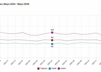 TÜİK: İşsizlik oranı mayısta yüzde 8,2 oldu