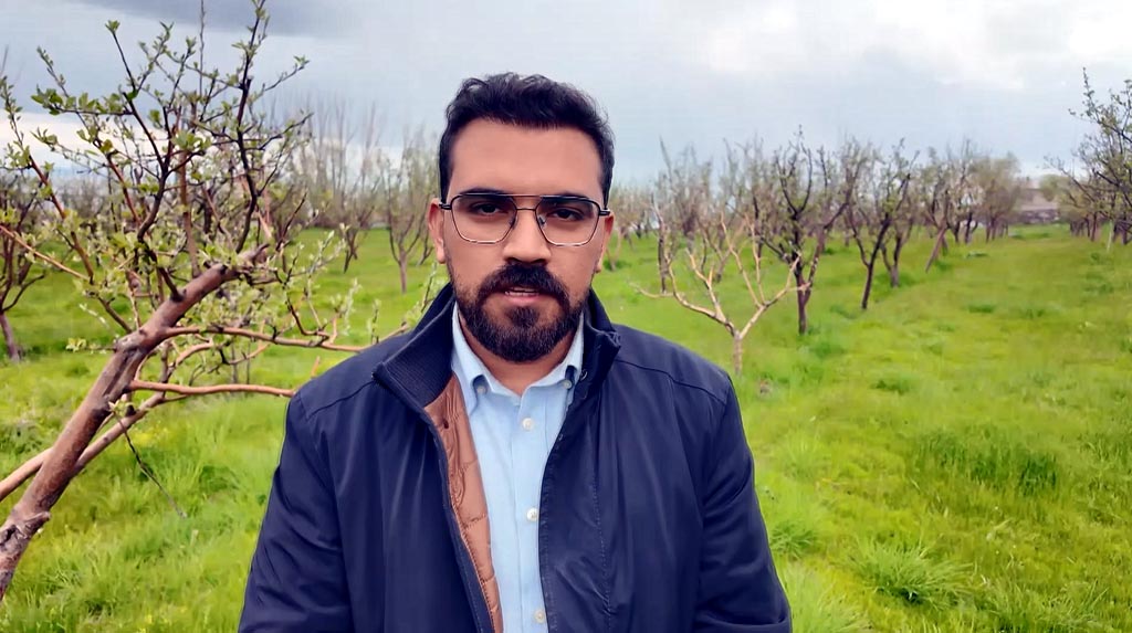 Diş hekimi, memleketine 2 bin ceviz fidanı dikti