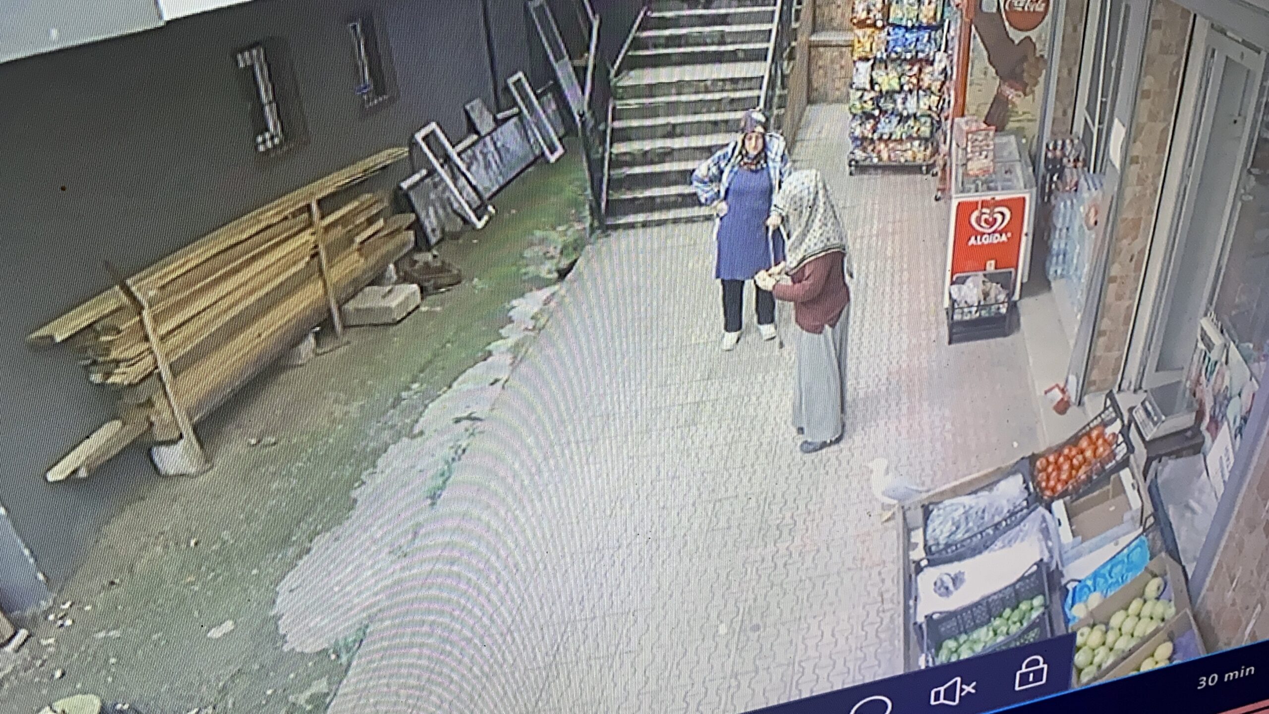 Hayvanlara dokunma korkusunu martıyla bağ kurup yendi
