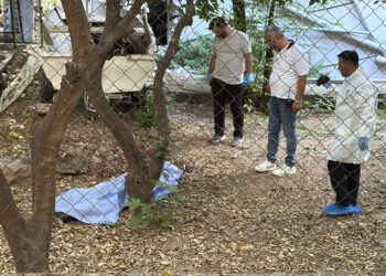 Apartman bahçesinde ölü bulundu