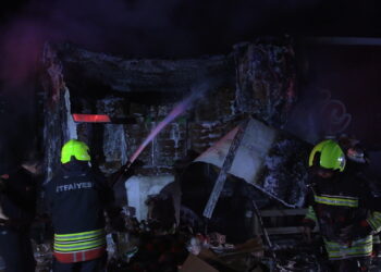 Tavuk eti yüklü TIR, otoyolda alev alarak yandı