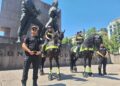 NATO Zirvesi öncesi Ankara'da atlı polislerden devriye