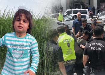 Leyla'nın amcasına 'kasten öldürme'den ağırlaştırılmış müebbet