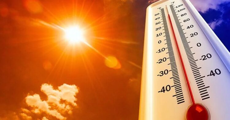 Avrupa'da yüksek sıcaklıklar nedeniyle 1300 kişi hayatını kaybetti