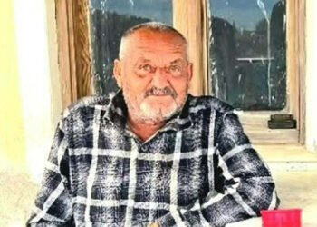 Balkonda uyuyan kişiye saldırıp öldüren ayı vuruldu