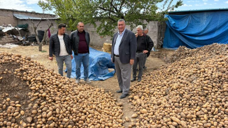 Ömer Fethi Gürer'den tarım politikalarına sert eleştiri; İktidar tarımda patates-soğan pazarını dahi yönetemedi