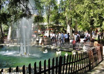 Ankara’nın parklarında romantizm sökmez, racon işler!