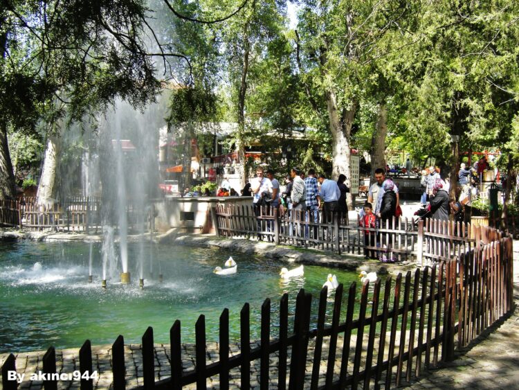 Ankara’nın parklarında romantizm sökmez, racon işler!