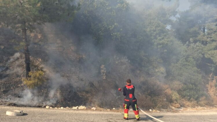 Zeytin bahçesinde çıkan yangın söndürüldü