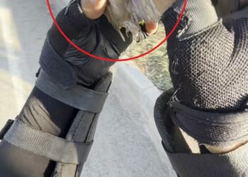 Motokurye, ağzındaki buğday tanesini çıkardığı serçeyi kurtardı