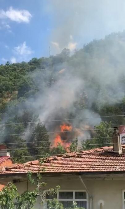Kastamonu'da orman yangını
