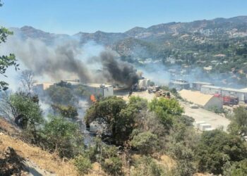 Bodrum'da konteynerde çıkan yangın makilik alana sıçradı