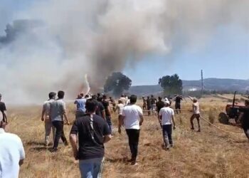 Bursa’da, anız yangınında 3 dönüm alan zarar gördü