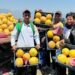 Hatay’da kavun hasadı başladı; tarlada kilosu 22 TL