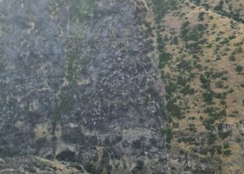 Pamukkale'de orman yangını kontrol altına alındı