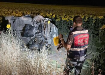 Ayçiçeği tarlasına devrilen otomobilde 5 kişi yaralandı