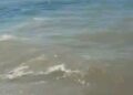 Bodrum'da deniz kirliliği; soruşturma başlatıldı