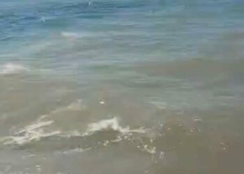 Bodrum'da deniz kirliliği; soruşturma başlatıldı