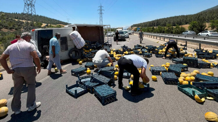 Kamyonet devrildi, kasasındaki kavunlar yola saçıldı