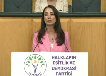 DEM Parti'li Hatimoğulları: Temmuz ayında çerçeve yasayı çıkaralım