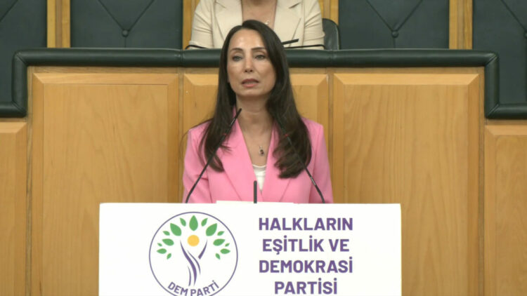 DEM Parti'li Hatimoğulları: Temmuz ayında çerçeve yasayı çıkaralım