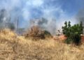 Bodrum'da otluk alanda çıkan yangın, ormana sıçradı
