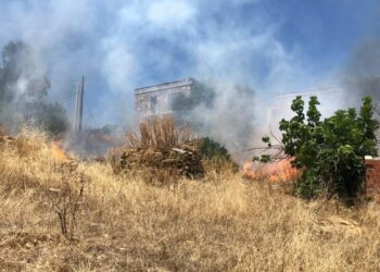 Bodrum'da otluk alanda çıkan yangın, ormana sıçradı