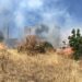 Bodrum'da otluk alanda çıkan yangın, ormana sıçradı