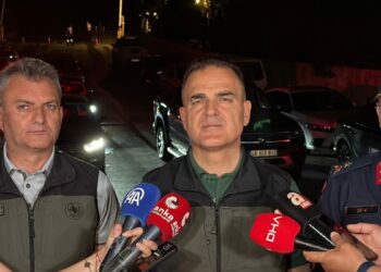 Muğla'da orman yangını