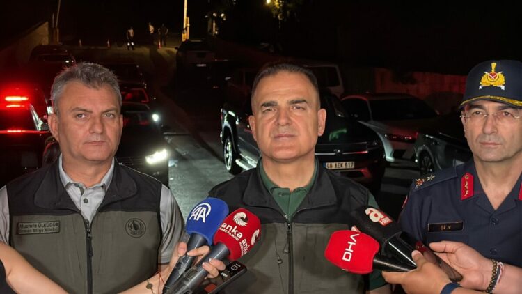 Muğla'da orman yangını