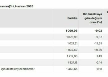 TÜİK: Tarım üretici fiyatları aylık yüzde 9,02 azaldı