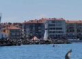 Tekirdağ açıklarında yunuslar görüntülendi