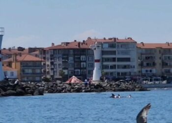 Tekirdağ açıklarında yunuslar görüntülendi