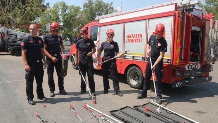 Sıcaklıklar yükseldi, yılan ihbarları arttı
