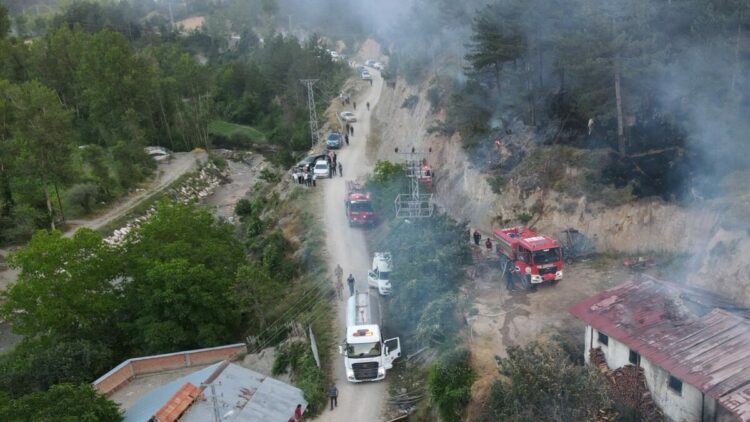 Kastamonu'da 6 hektar orman yandı