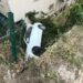 Otomobil apartmanın bahçesine uçtu; 1 yaralı