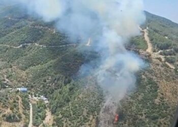 İzmir’de orman yangını