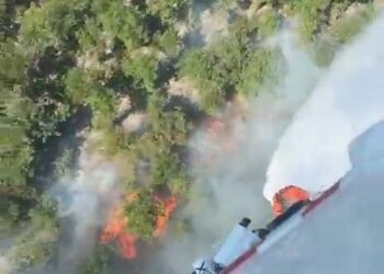 Çatalca'da orman yangını-1