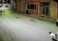 Ordu'da skuterlı çocuk köpeklerin saldırısına uğradı; o anlar kamerada