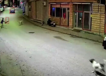 Ordu'da skuterlı çocuk köpeklerin saldırısına uğradı; o anlar kamerada